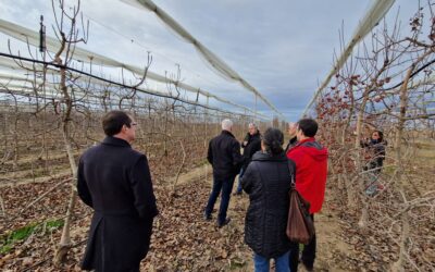 UK-Spain collaboration unlocks opportunities in Agri-Tech 